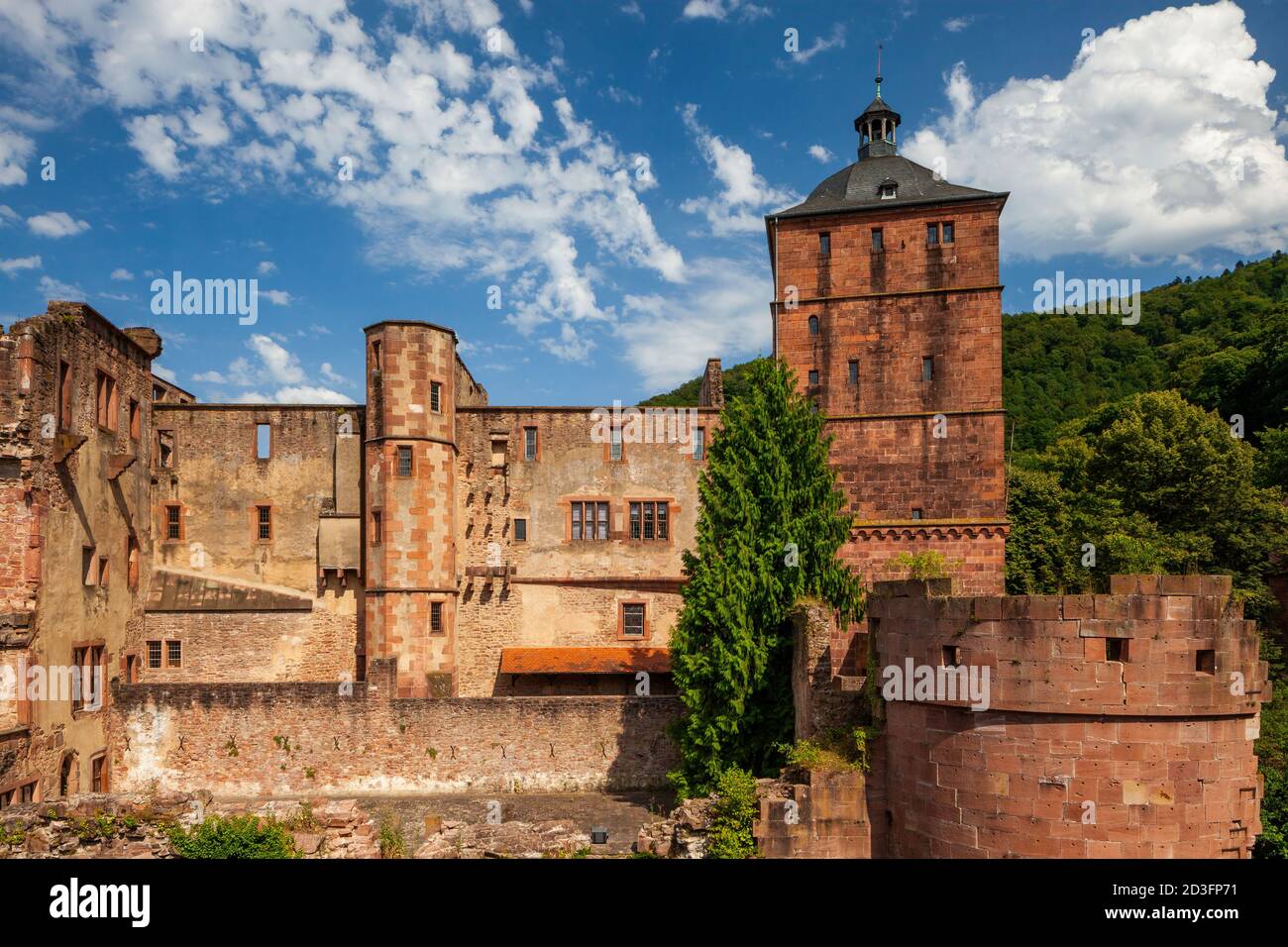 Castello di Heidelberg, Heidelberg, Germania Foto Stock