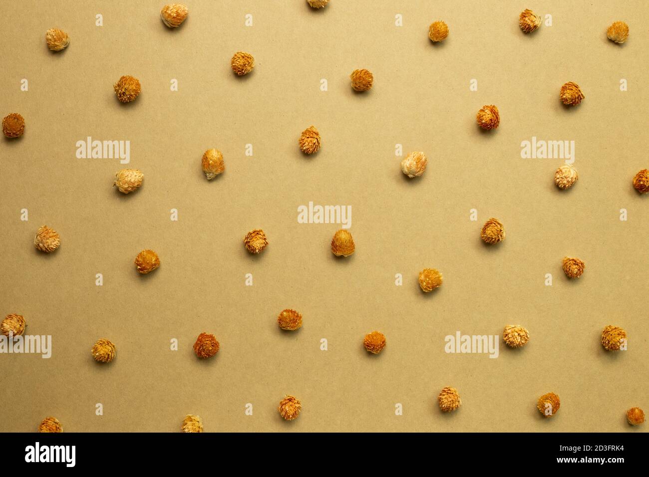 Fiori di amaranto globo asciutti su carta marrone kraft. Sfondo motivo floreale Foto Stock