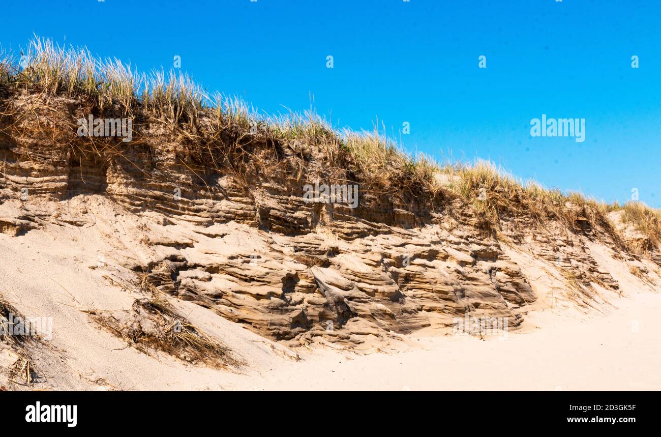 Primo piano di dune di sabbia martoriate su Montauk Beach New York con un cielo blu profondo soprastante preso nell'aprile 2020. Foto Stock