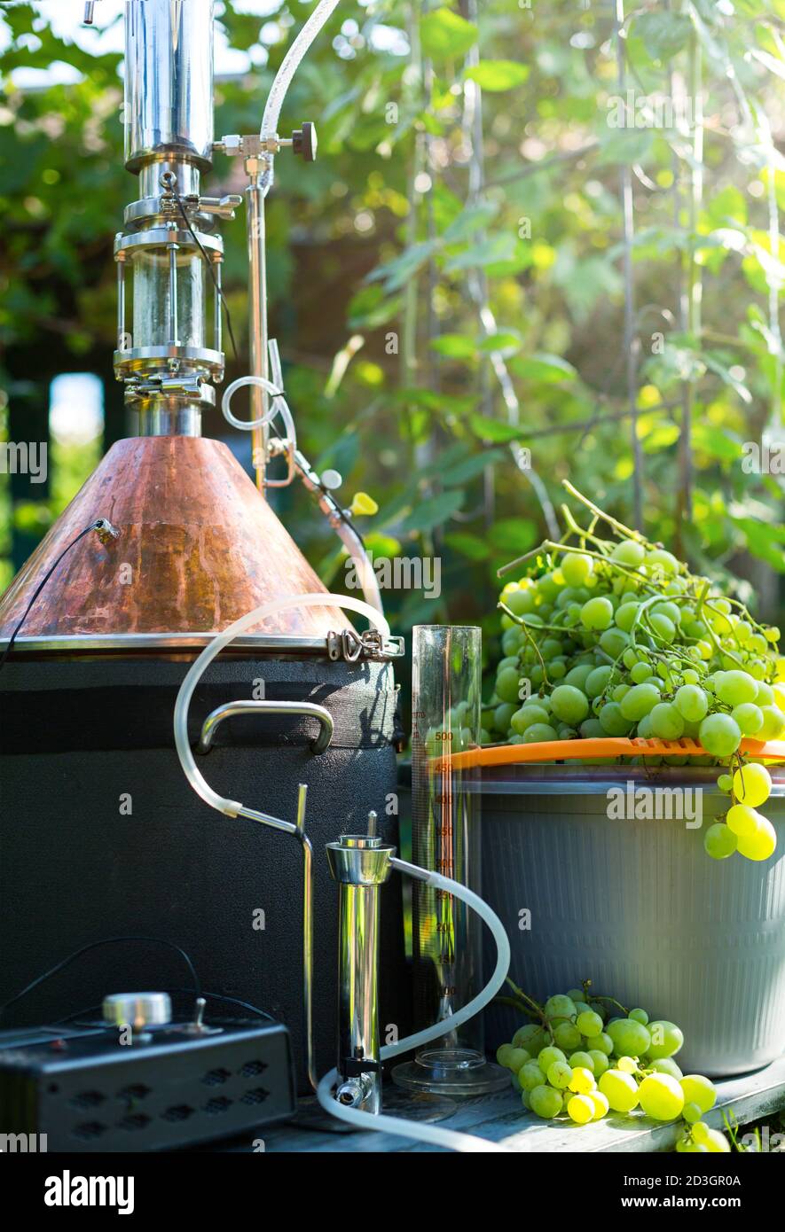 vinificazione fatta in casa di moonshine; uva bianca e moonshine ancora per la produzione casalinga di brandy Foto Stock