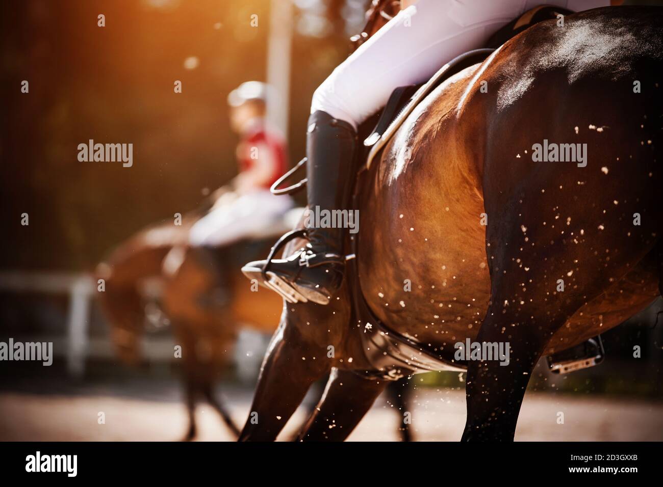 Un cavallo della baia con un cavaliere in sella galoppe rapidamente, sollevando la polvere nell'aria, che è illuminata dalla luce solare brillante. Equitazione. Selettivo Foto Stock