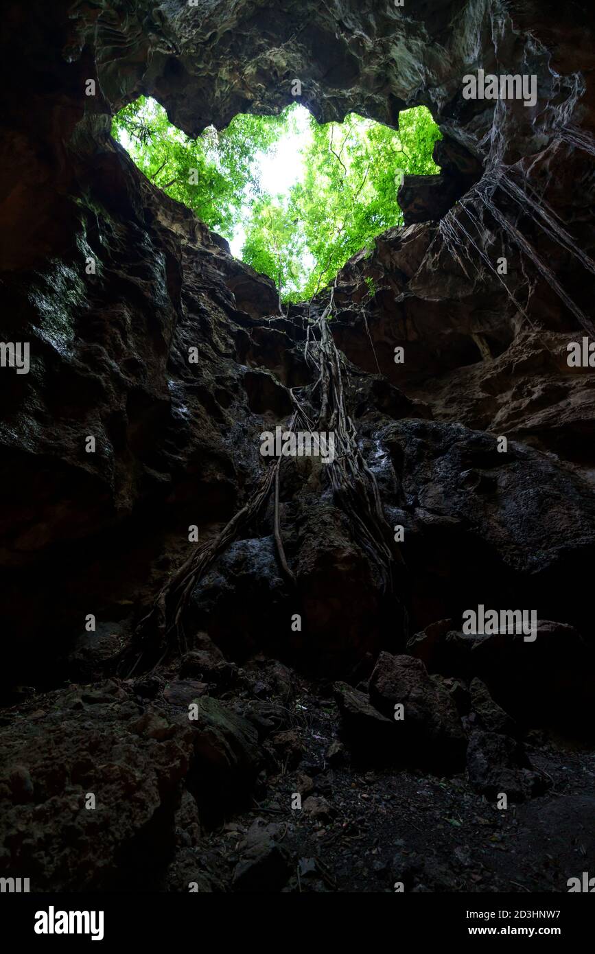 Vista dalla grotta buca che guarda fuori albero e cielo Foto Stock