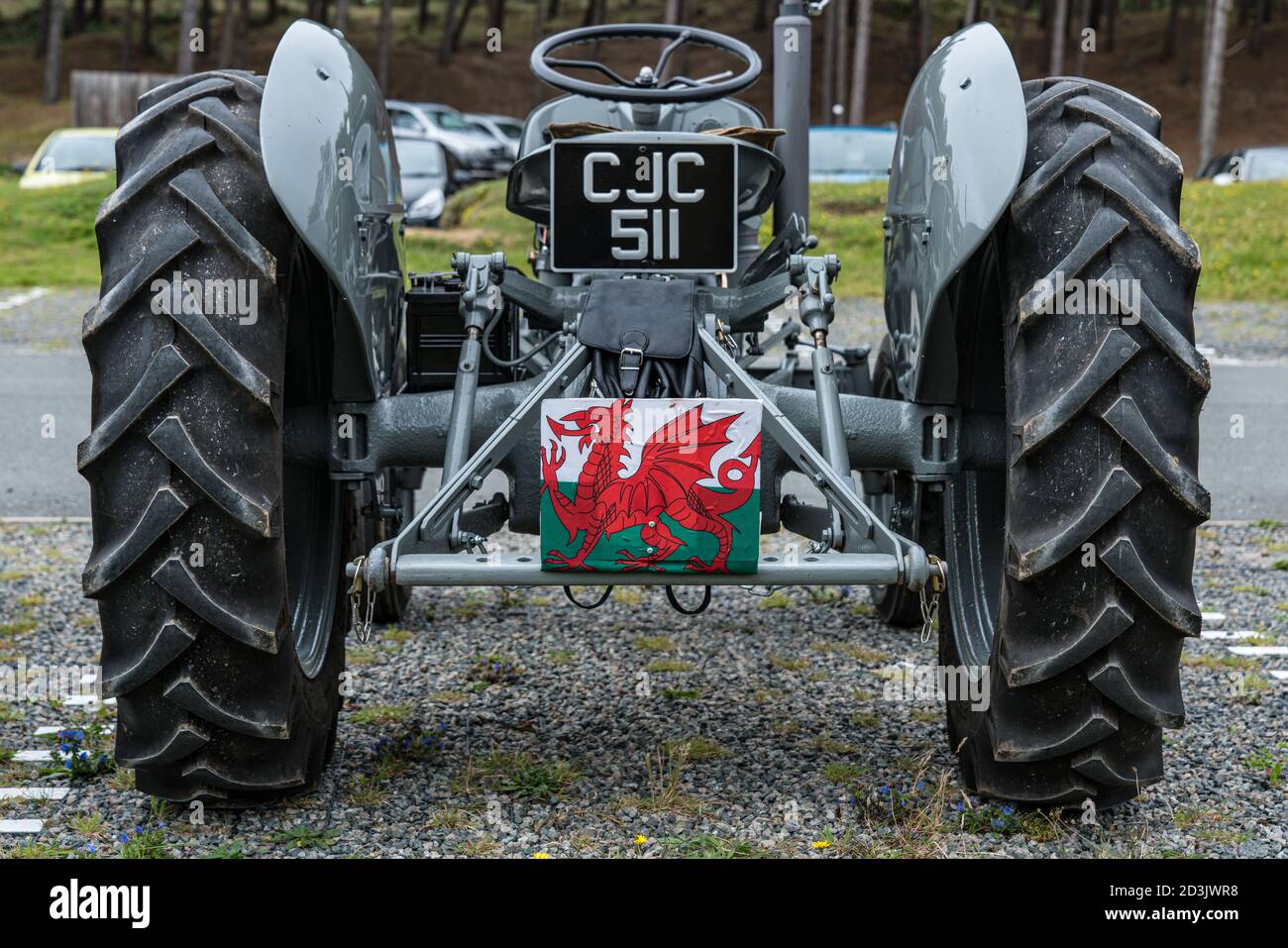 Un trattore Ferguson d'epoca grigio che batte la bandiera gallese al Newborough Beach Car Park, Anglesey, Galles Foto Stock