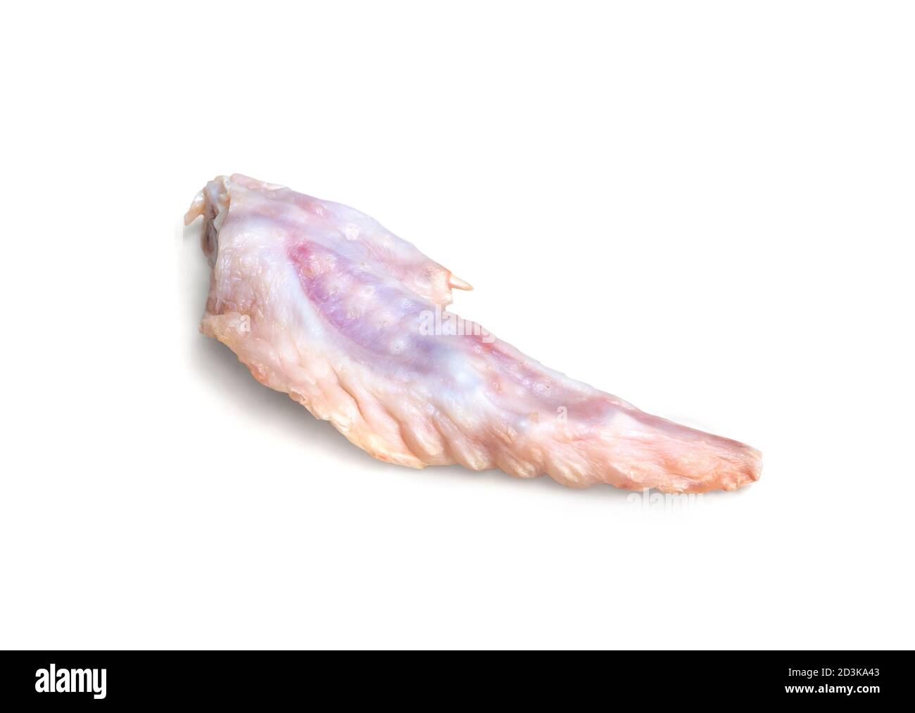 Punta ad ala di pollo crudo, di grado umano. Concetto di dieta alimentare cruda, modello di preda cruda (PMR) o BARF per gatti, cani e animali domestici. Isolato su bianco. Foto Stock