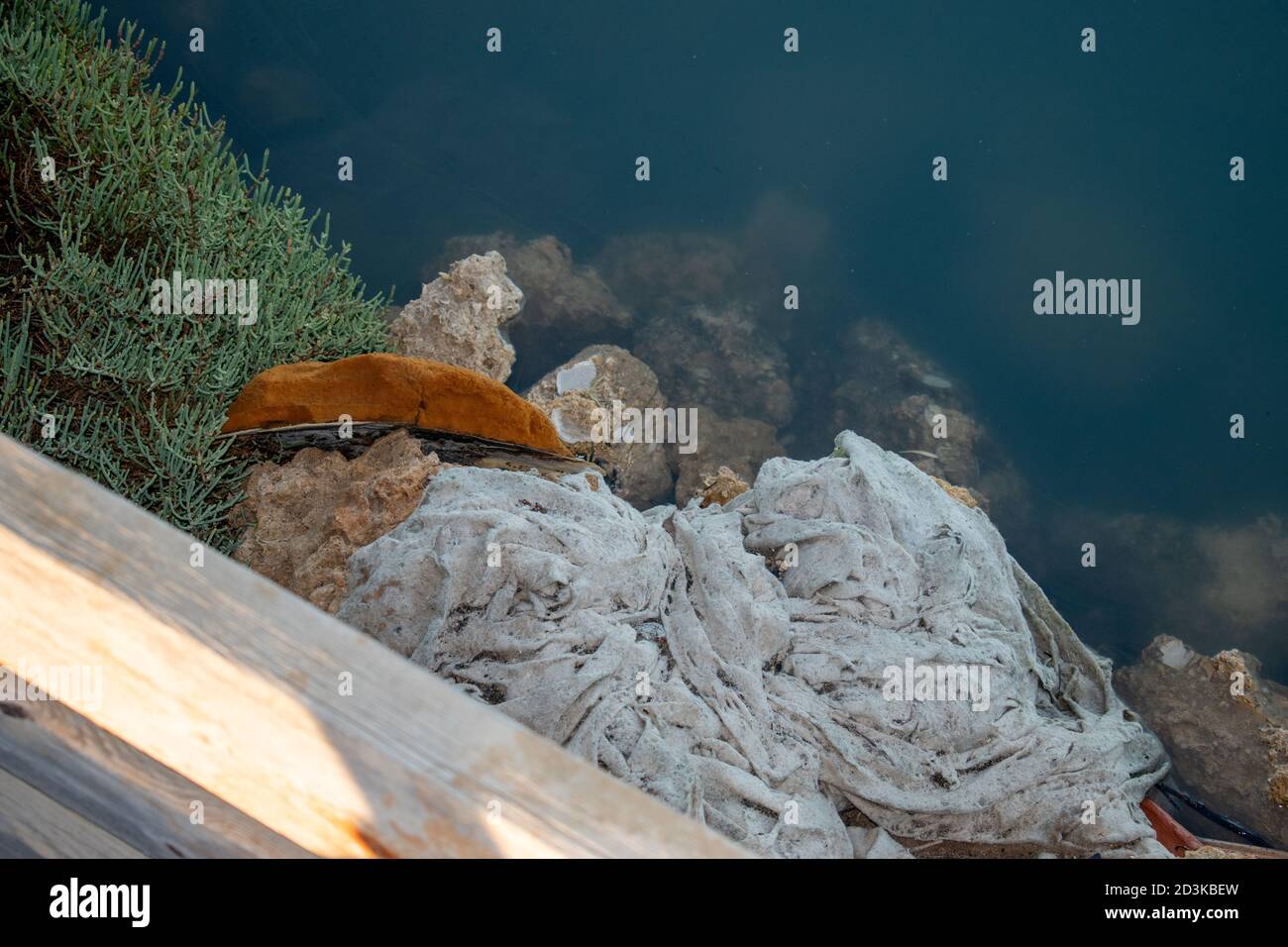 Pezzi di stoffa e immondizia sulla riva di a. lago con rocce e alcune piante acquatiche Foto Stock
