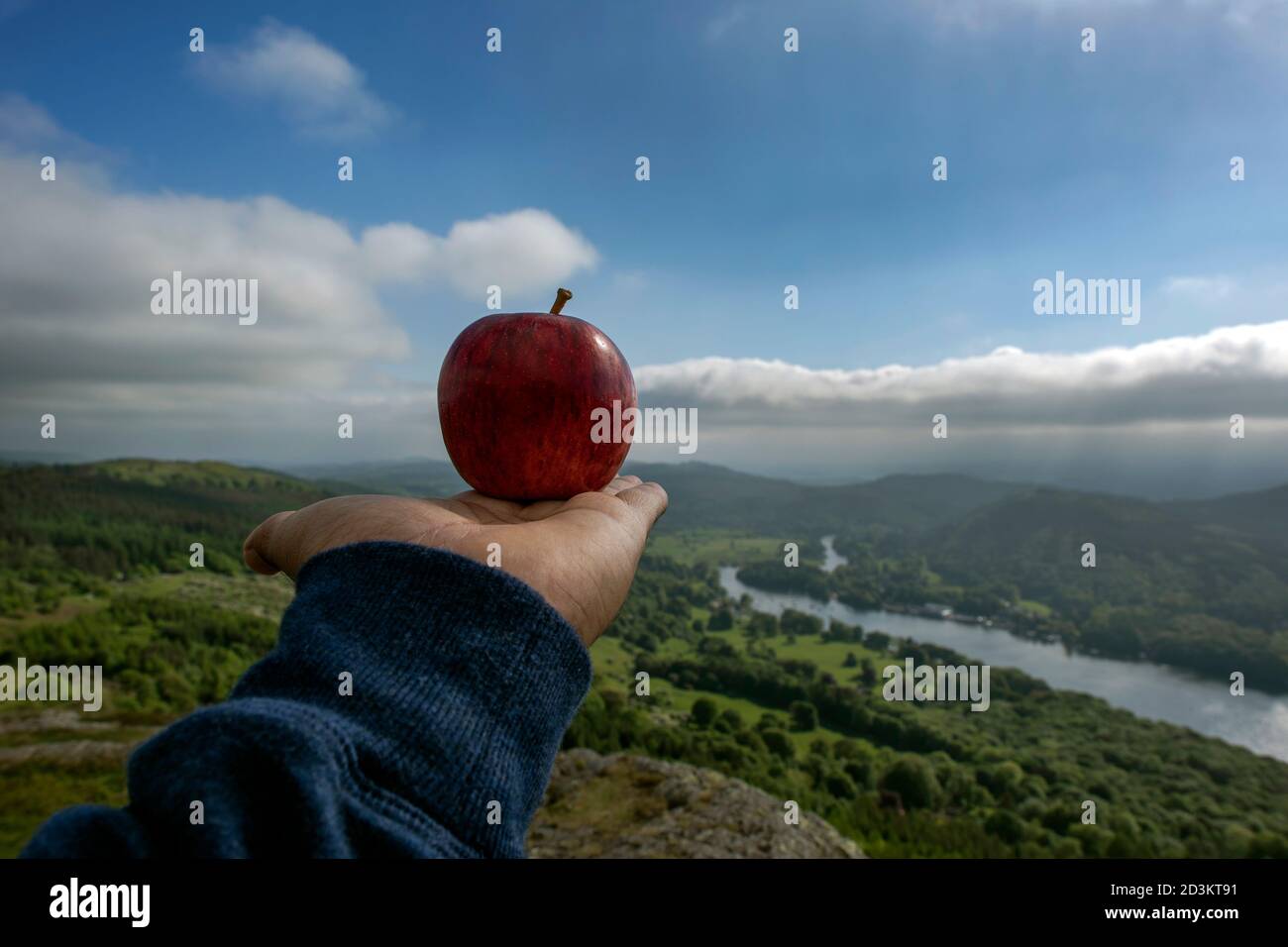 Apple e natura , Lake District, Inghilterra. Foto Stock