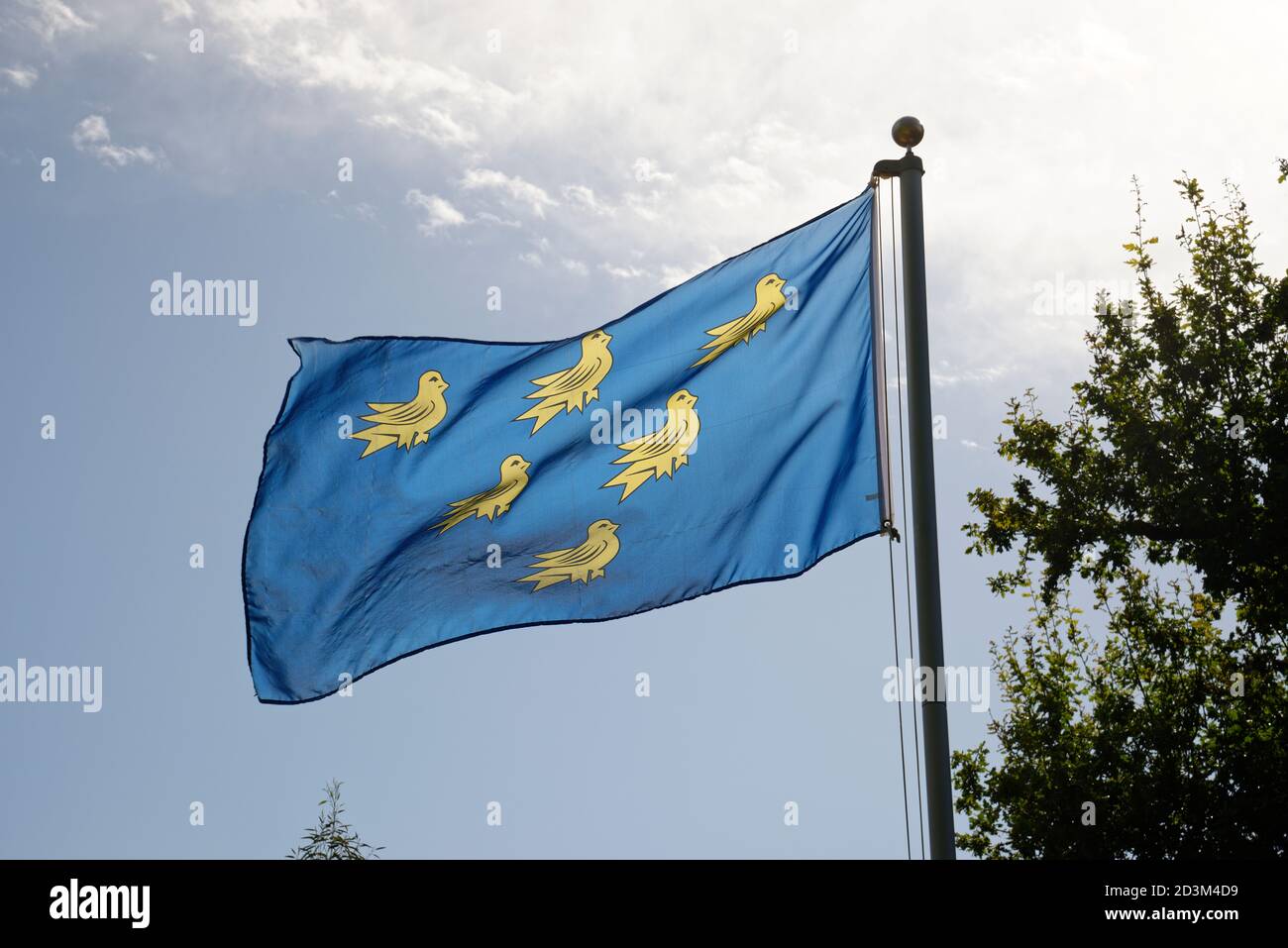 I sei martelli d'oro su sfondo blu sono lo scudo araldico ufficiale del Sussex, una contea dell'Inghilterra. Foto Stock