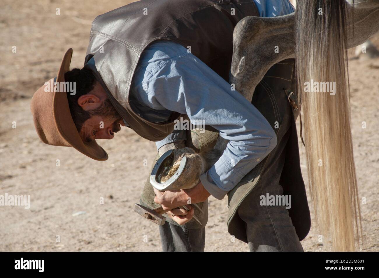 Irfan con l'aiuto di YouTube video cambiare le scarpe del cavallo, in Anatolia Cappadocia di Goreme noto anche come la Terra dei bei cavalli, Turchia. Foto Stock
