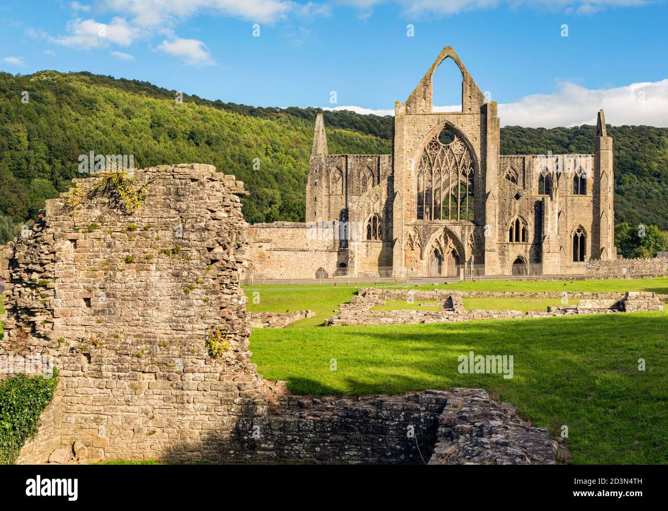 Tintern Abbey, Monmouthshire, Galles, Regno Unito. L'abbazia cistercense cadde in rovina dopo lo scioglimento dei monasteri nel regno del re Foto Stock