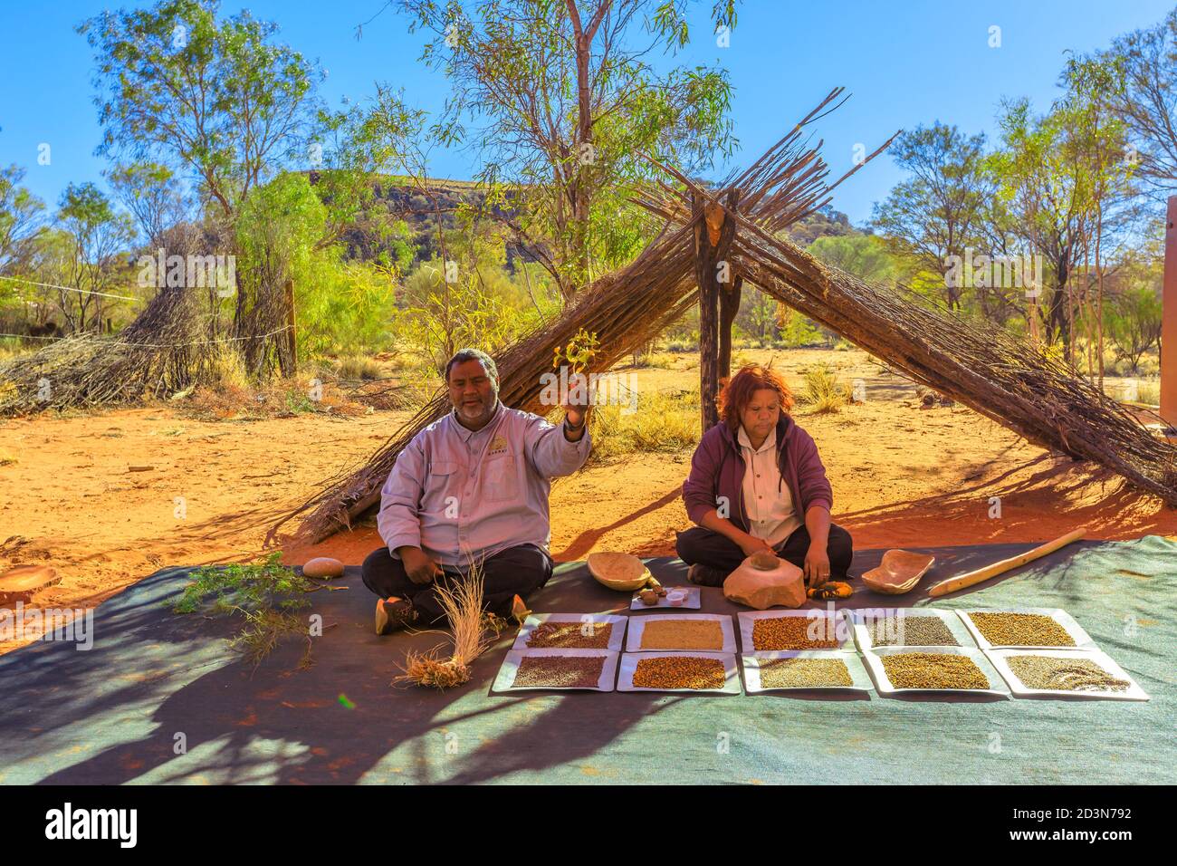 Kings Creek Station, Northern Territory, Australia - 21 agosto 2019: Gli aborigeni australiani mostrano i semi di cespuglio e le piante di medicina. Karrke Aborigeno Foto Stock