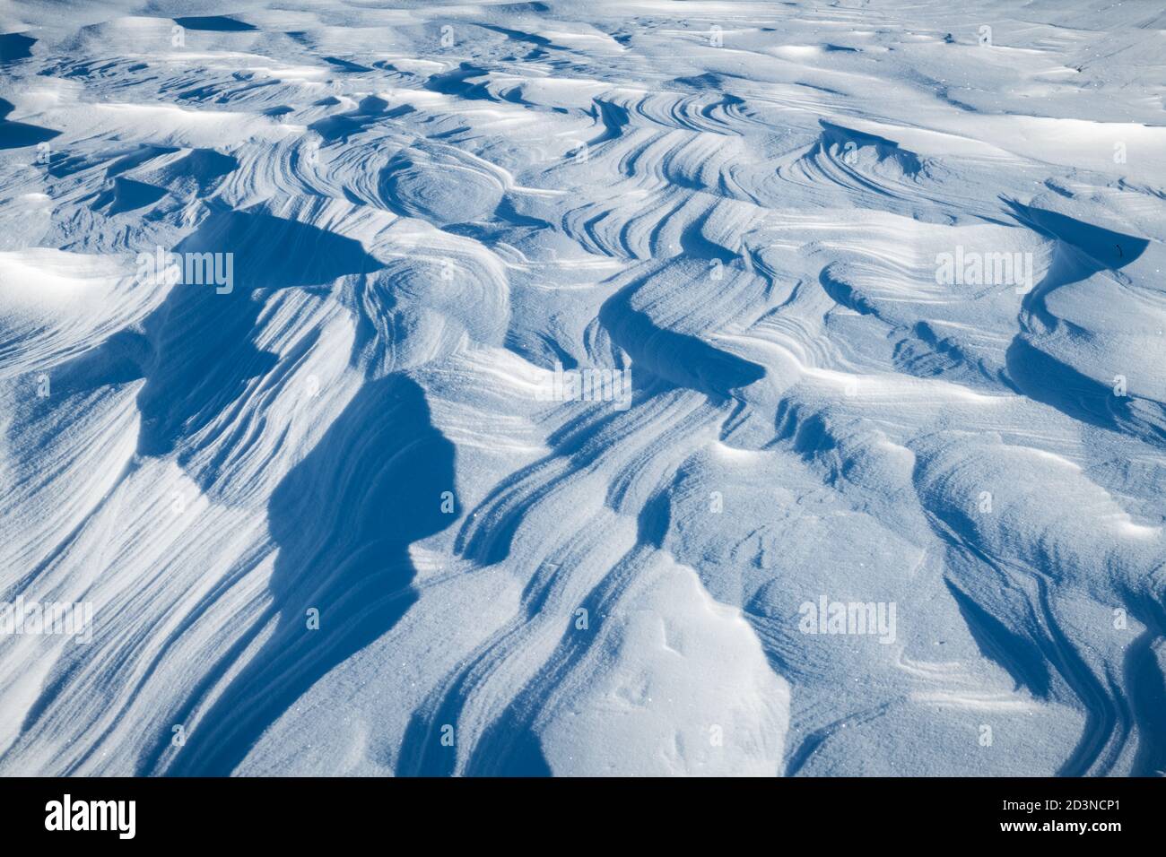 Neve sul campo in una giornata di sole. Natura inverno, vacanza e Natale sfondo Foto Stock