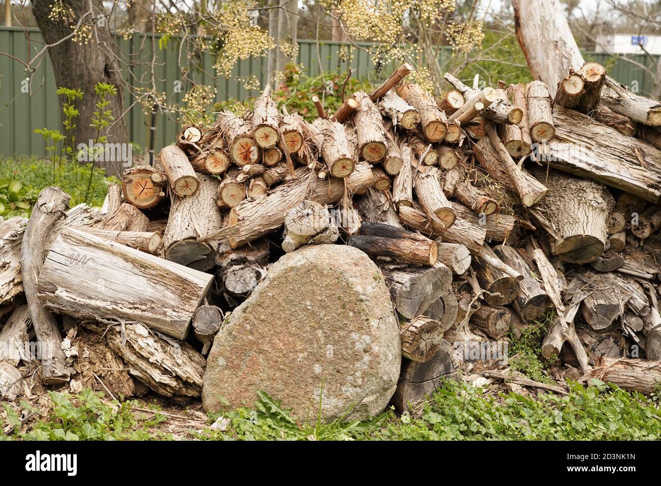 Log o ramo forma combustibile legno palo Australia Foto Stock