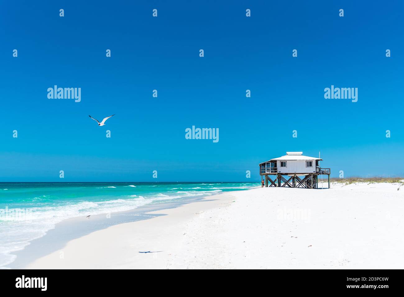 Una casa sulla spiaggia si trova sulla bella spiaggia di sabbia bianca di Shell Island accanto ad un oceano blu chiaro, un gabbiano vola dall'alto Foto Stock