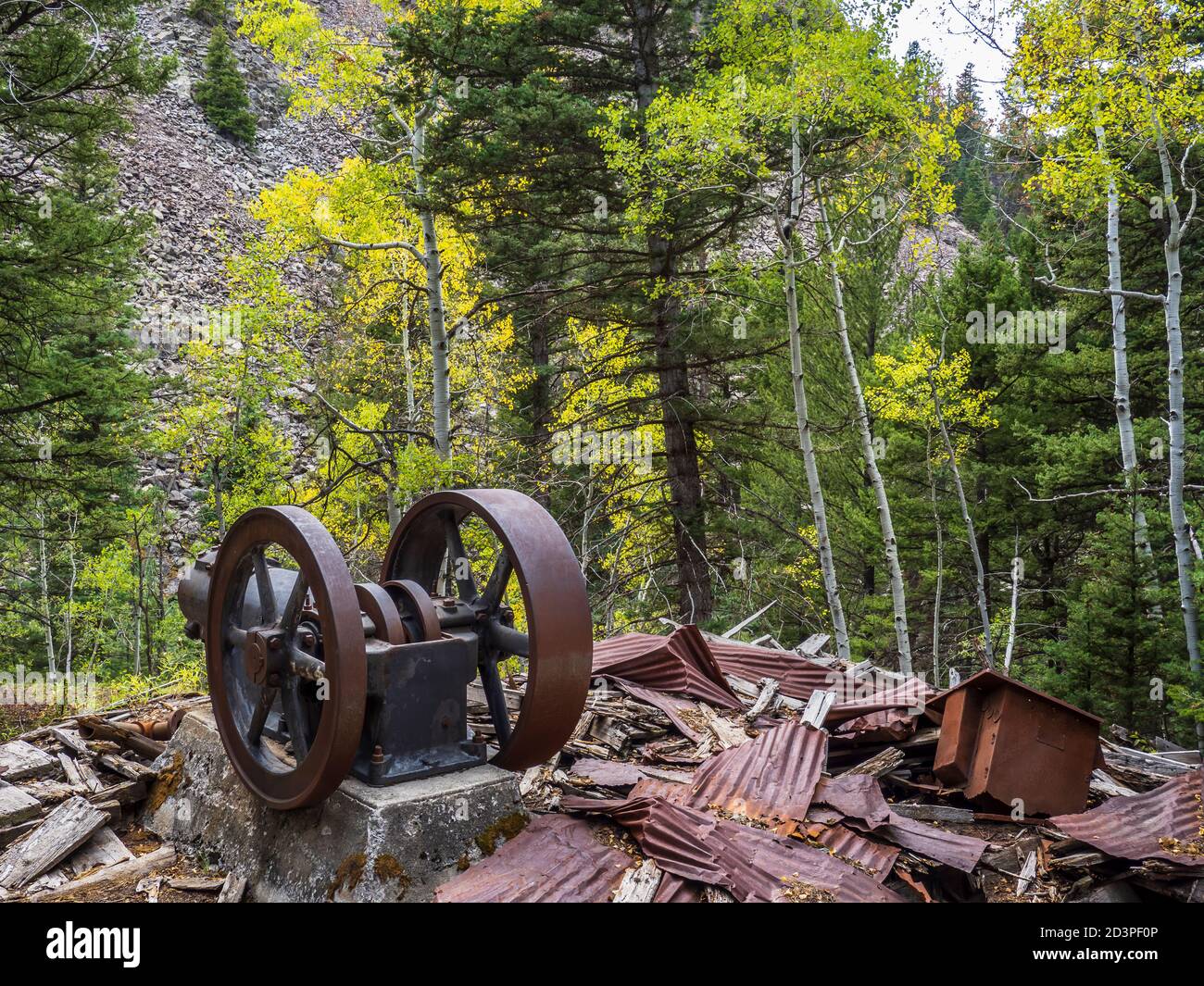 Pompa, Old Maid Mine Site, Dexter Creek Trail, Uncompahgre National Forest, Ouray, Colorado. Foto Stock