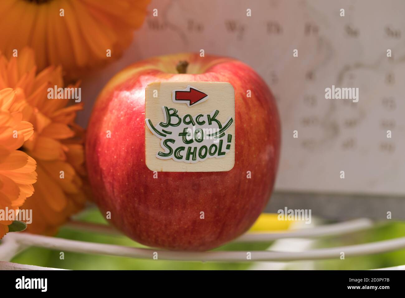 Torna a scuola – concetto. Creative Macro decorazione con fresco rosso mela, testo, bella fiori d'arancio e calendario sfocato. Giornata accademica di sole. Foto Stock