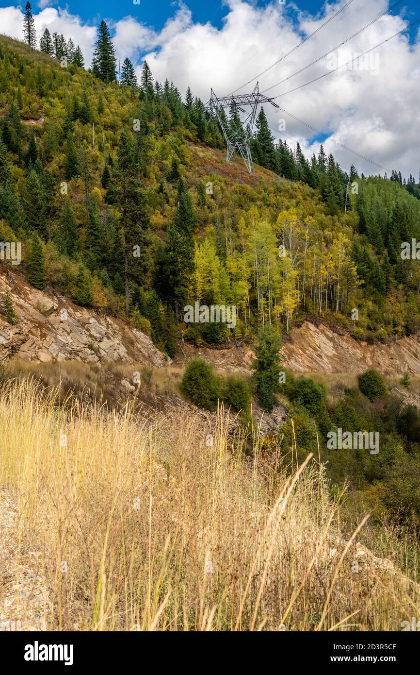 Colori autunnali sul Moon Pass. Wallace, Idaho. Foto Stock