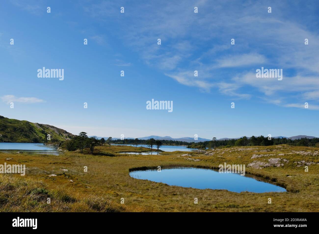 Guardando a nord verso Lough Cloonee sulla penisola di Beara, County Kerry, Irlanda - John Gollop Foto Stock