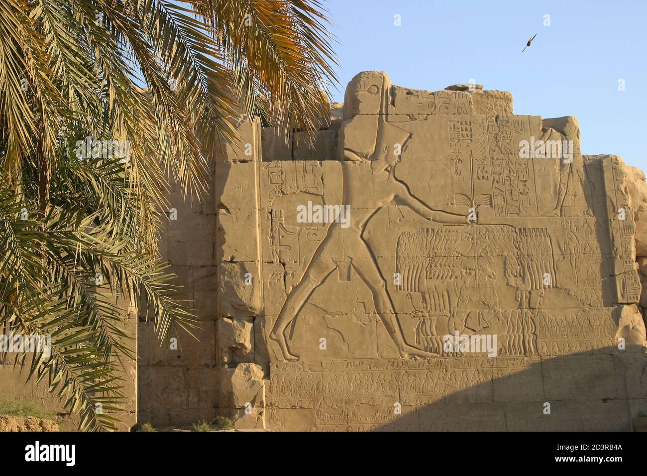 Il Tempio di Karnak è il secondo tempio più grande dell'antico Egitto e un vecchio centro religioso. Si trova sulle rive del Nilo a Luxor. Foto Stock