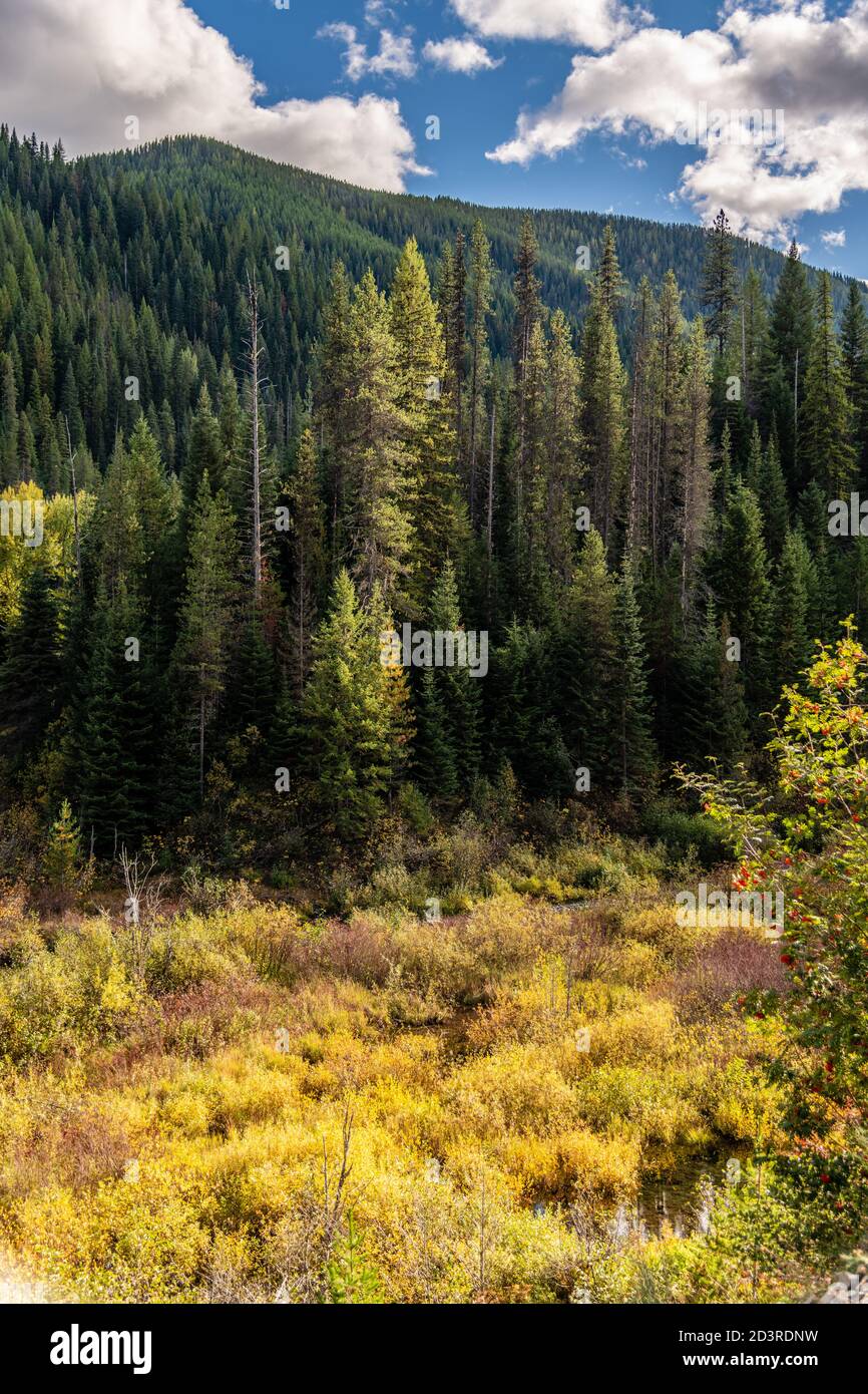 Moon Pass. Wallace, Idaho. Foto Stock