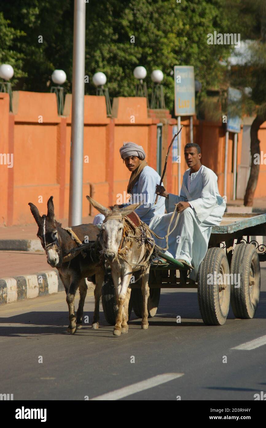 Nelle strade della città di Luxor, il ritmo della vita è calmo. Asini e carrelli gestiscono il trasporto di merci Foto Stock