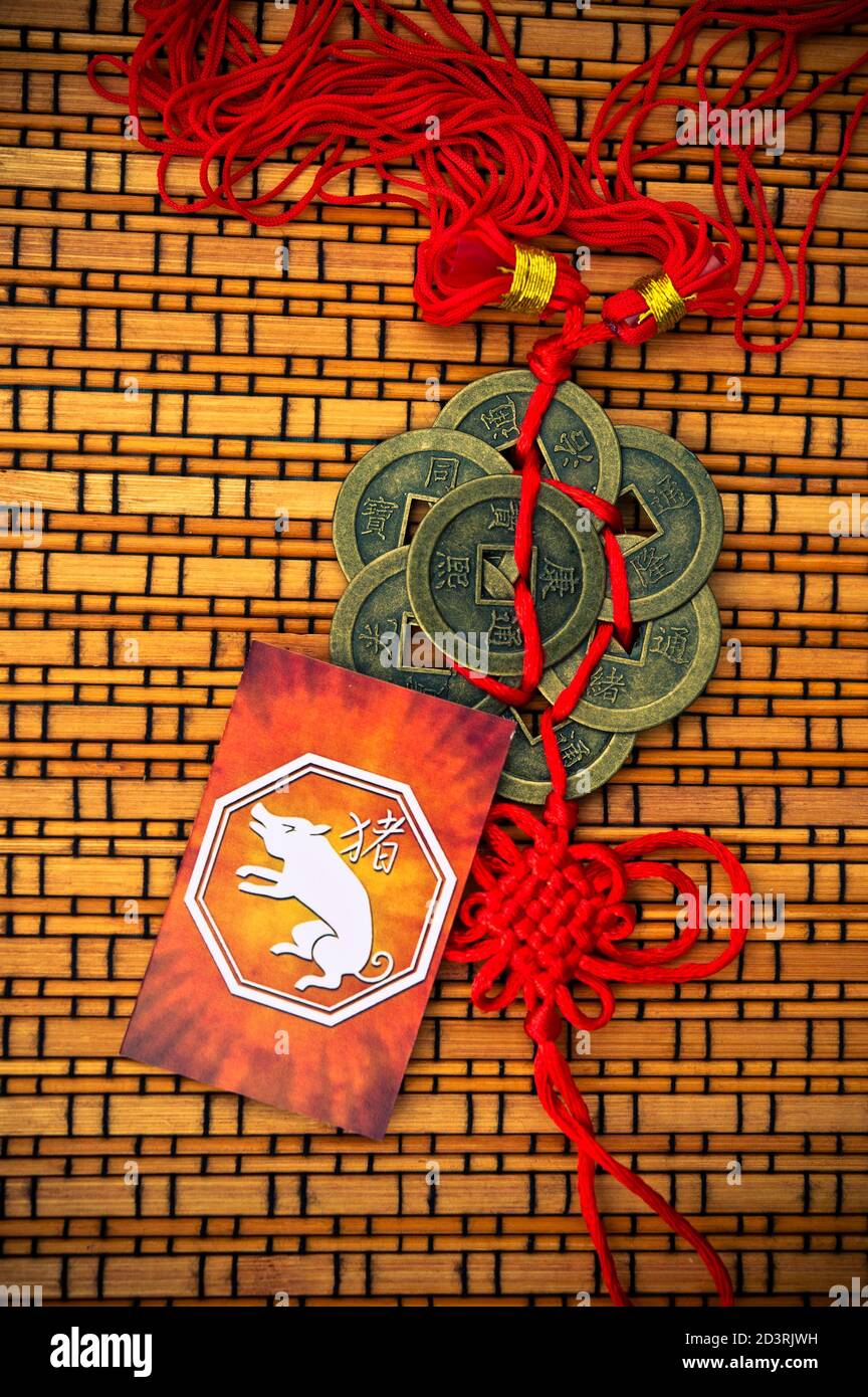 Carta dell'oroscopo cinese segno di maiale Foto Stock