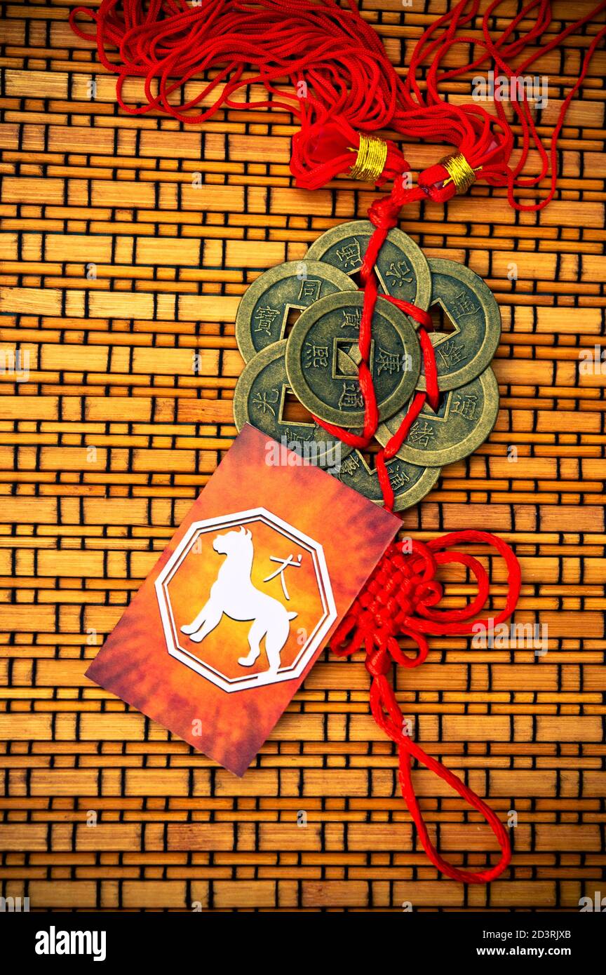 Carta dell'oroscopo cinese segno di cane Foto Stock