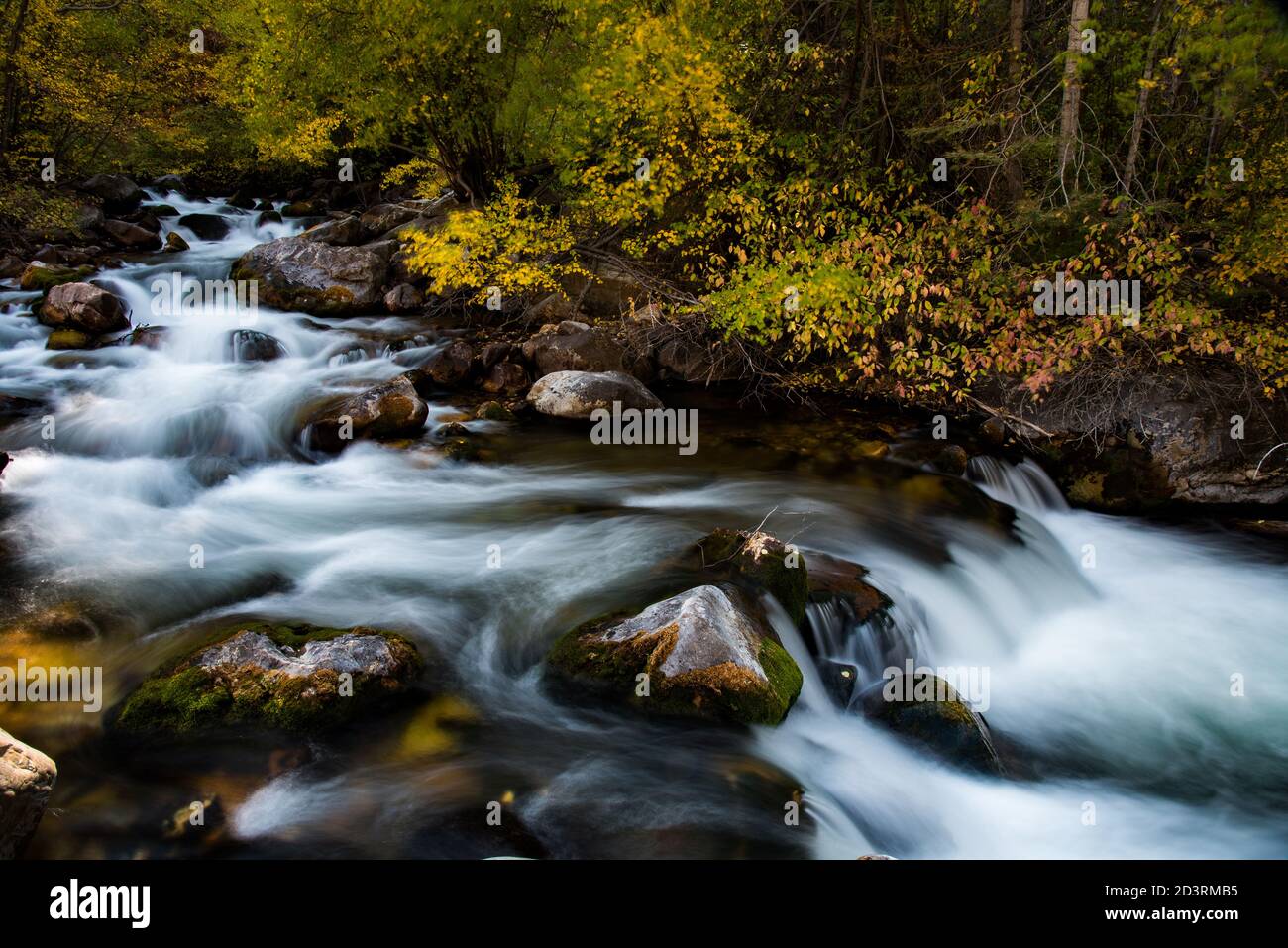 Stream montano con colori autunnali che utilizzano una bassa velocità dell'otturatore per enfatizzare il movimento. Foto Stock
