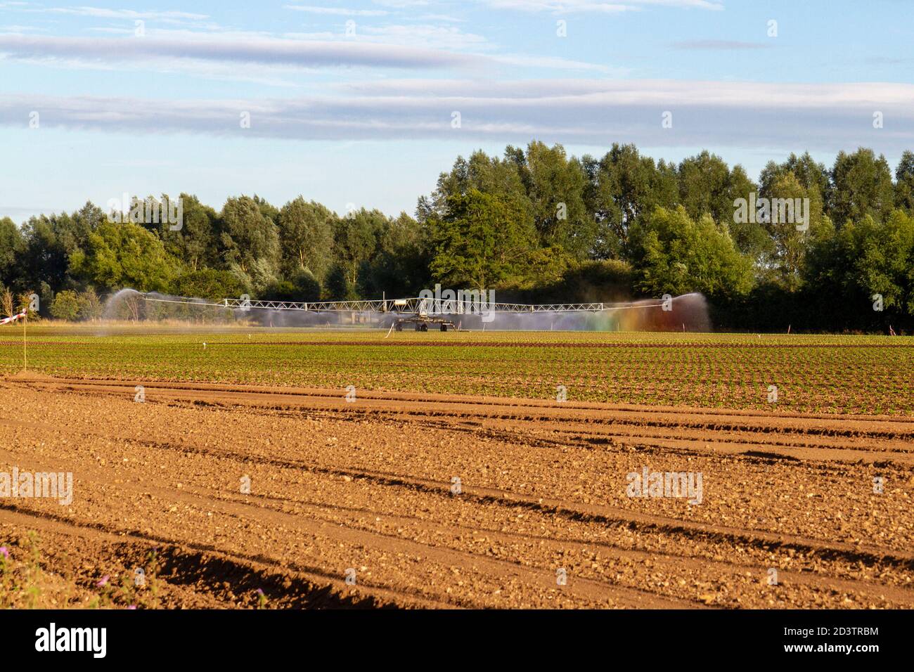 Un impianto di irrigazione sprinkler mobile in azione (e la creazione di un arcobaleno) su un campo in Inghilterra. Foto Stock