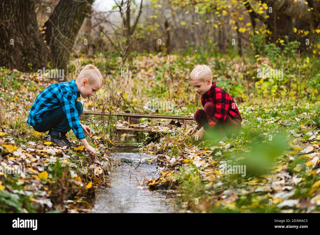 Weekend in famiglia all'aperto nella splendida foresta autunnale. Due ragazzi presteen seduti su entrambi i lati e giocare con il flusso d'acqua Foto Stock