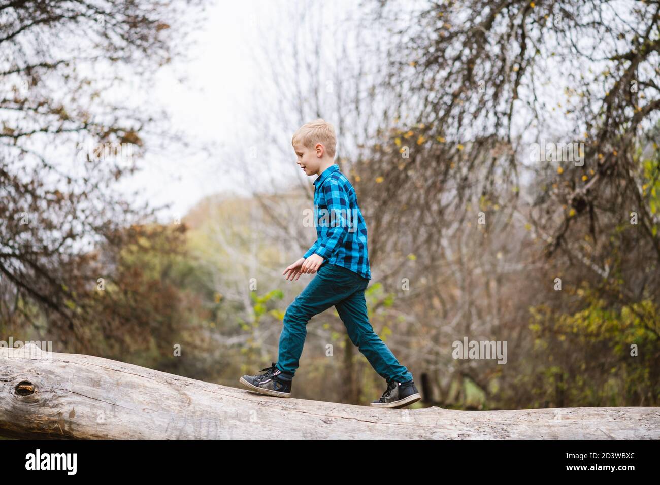 Preeteen attività infantile maschile in natura. Un ragazzo che cammina su un tronco di albero caduto sullo sfondo della foresta autunnale Foto Stock