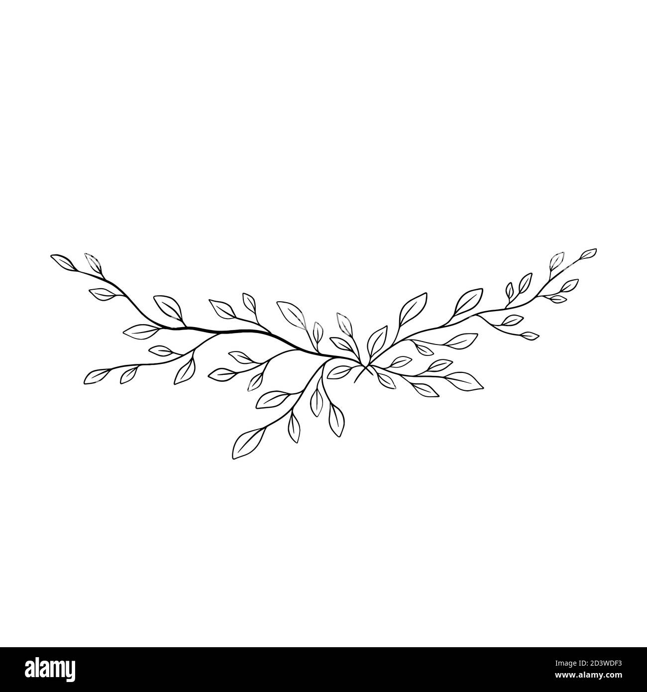 Vettore tracciato a mano nero su bianco Branch con foglie. Semplice illustrazione floreale. Contorno dell'inchiostro botanico. Illustrazione linea-arte minimalistica. Illustrazione Vettoriale