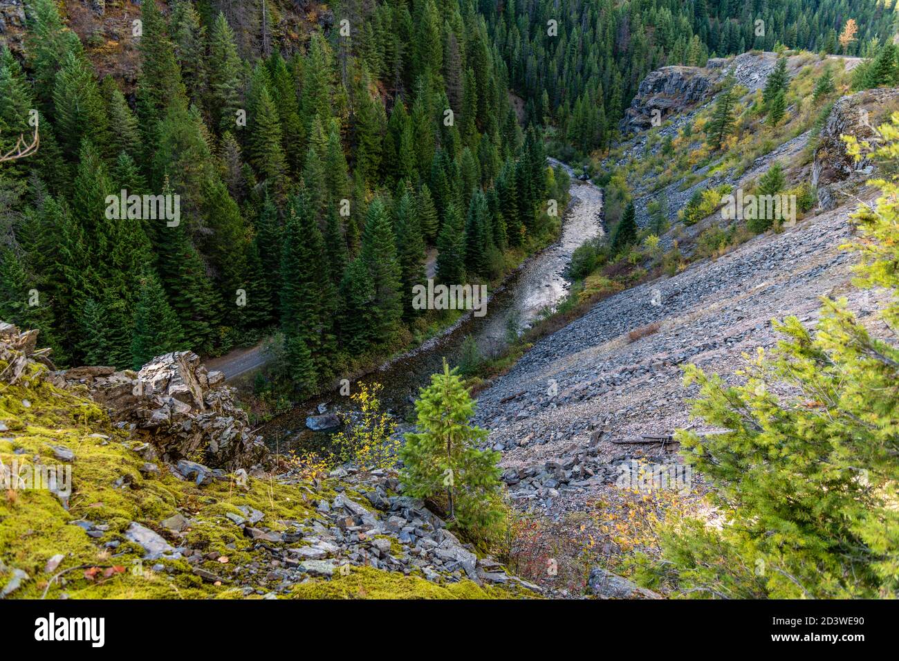 North Fork del fiume Saint Joe sul Moon Pass. Wallace, Idaho. Foto Stock