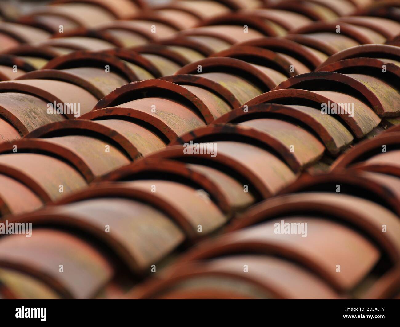 Cotto arancione sul tetto di una casa Foto Stock