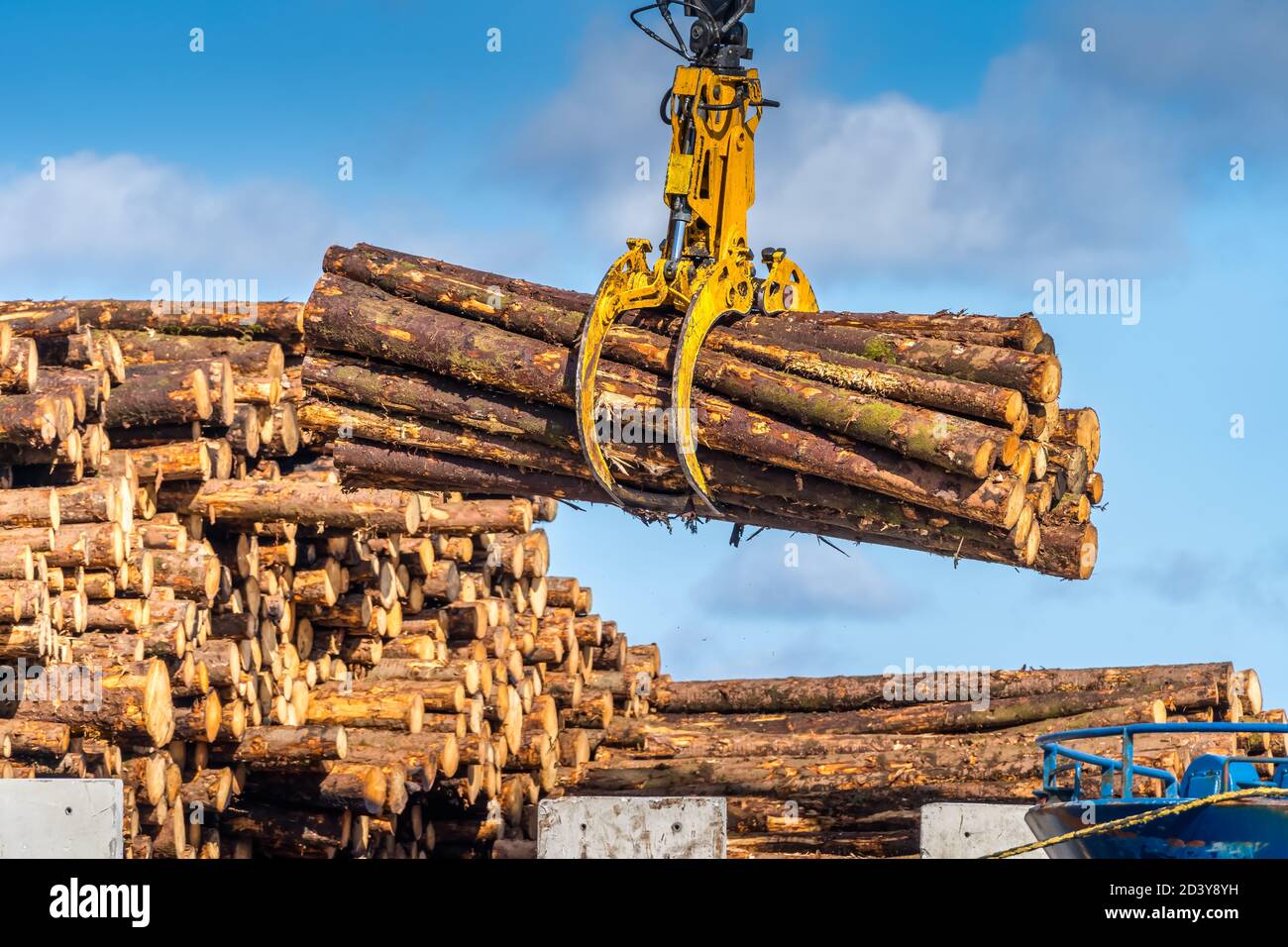 Esportazione o importazione di legname, carico su nave da carico nel porto commerciale o porto di Wicklow in Irlanda. Industria dei trasporti. Primo piano su tronchi di legno gripple Foto Stock