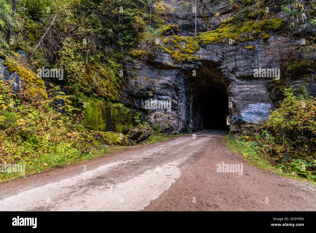 Old Stone Tunnel sul Moon Pass, Wallace, Idaho Foto Stock