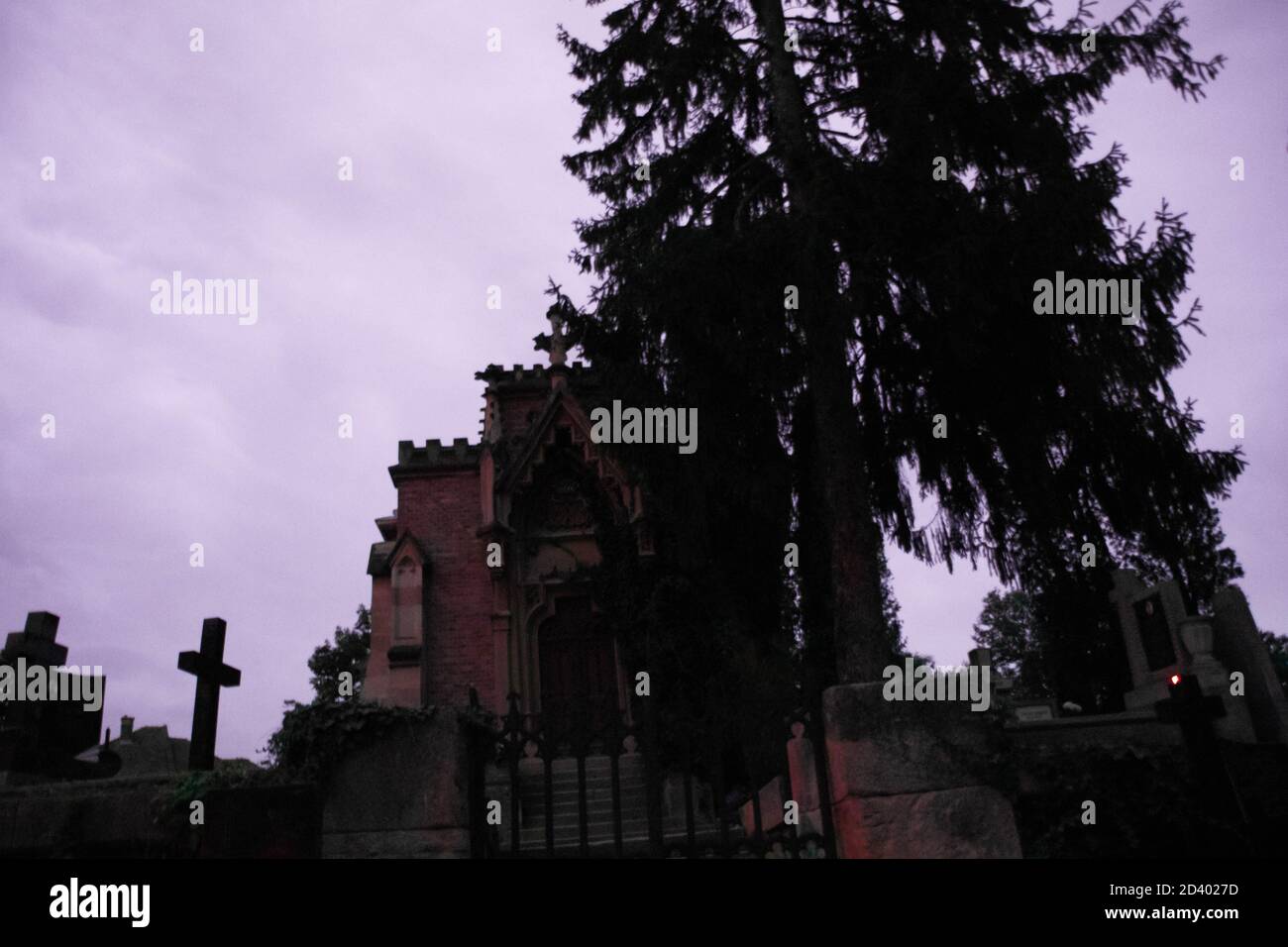 Cielo viola e un creep gotico e un abete. Un modo astratto e un modo creepy per vedere la cripta. Una buona immagine per Halloween. Foto Stock