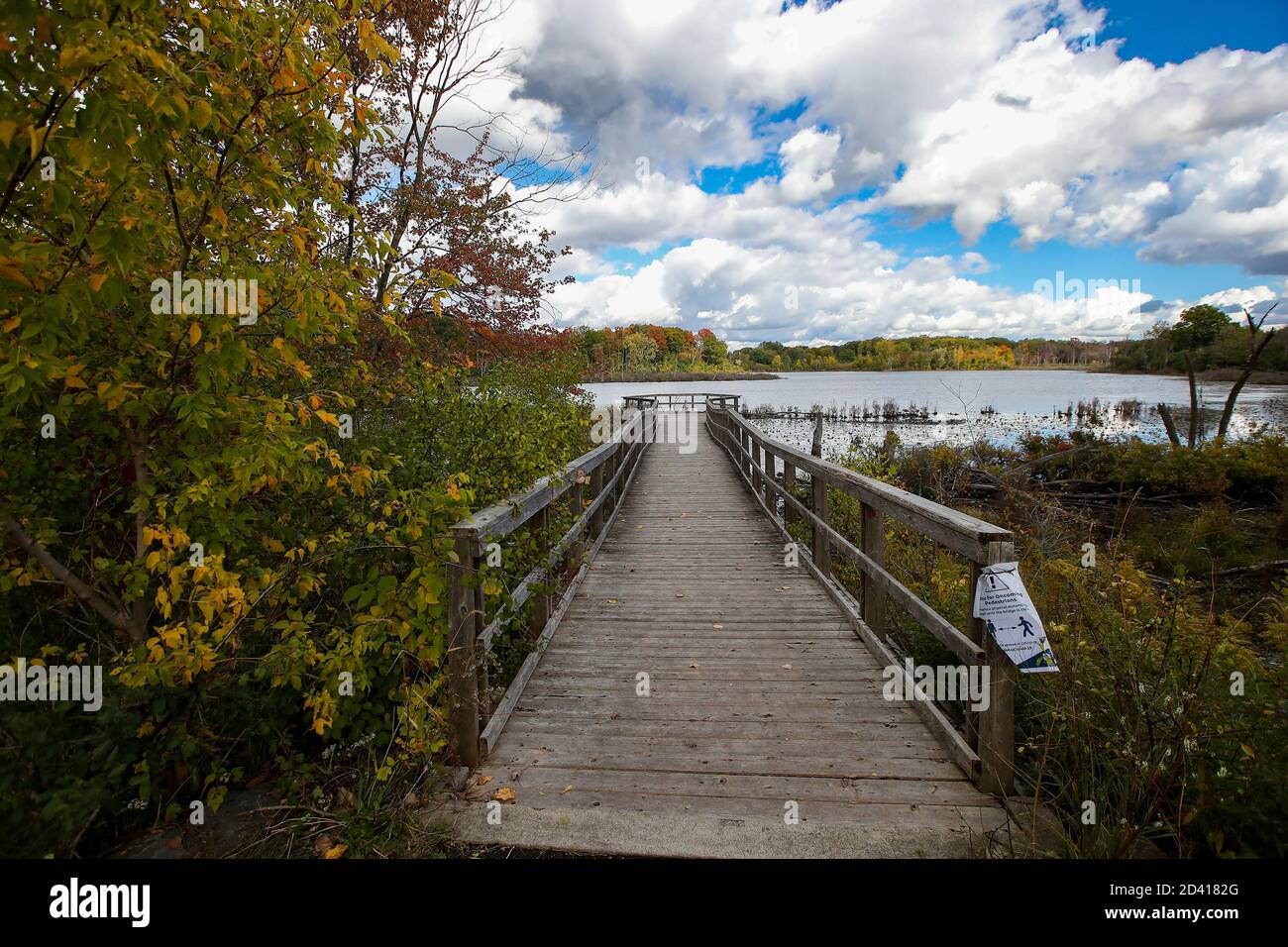 8 ottobre 2020, Londra Ontario Canada, Walker Pond of the Westminster Ponds in London Ontario Canada. Autunno 2020 Luke Durda/Alamy Foto Stock