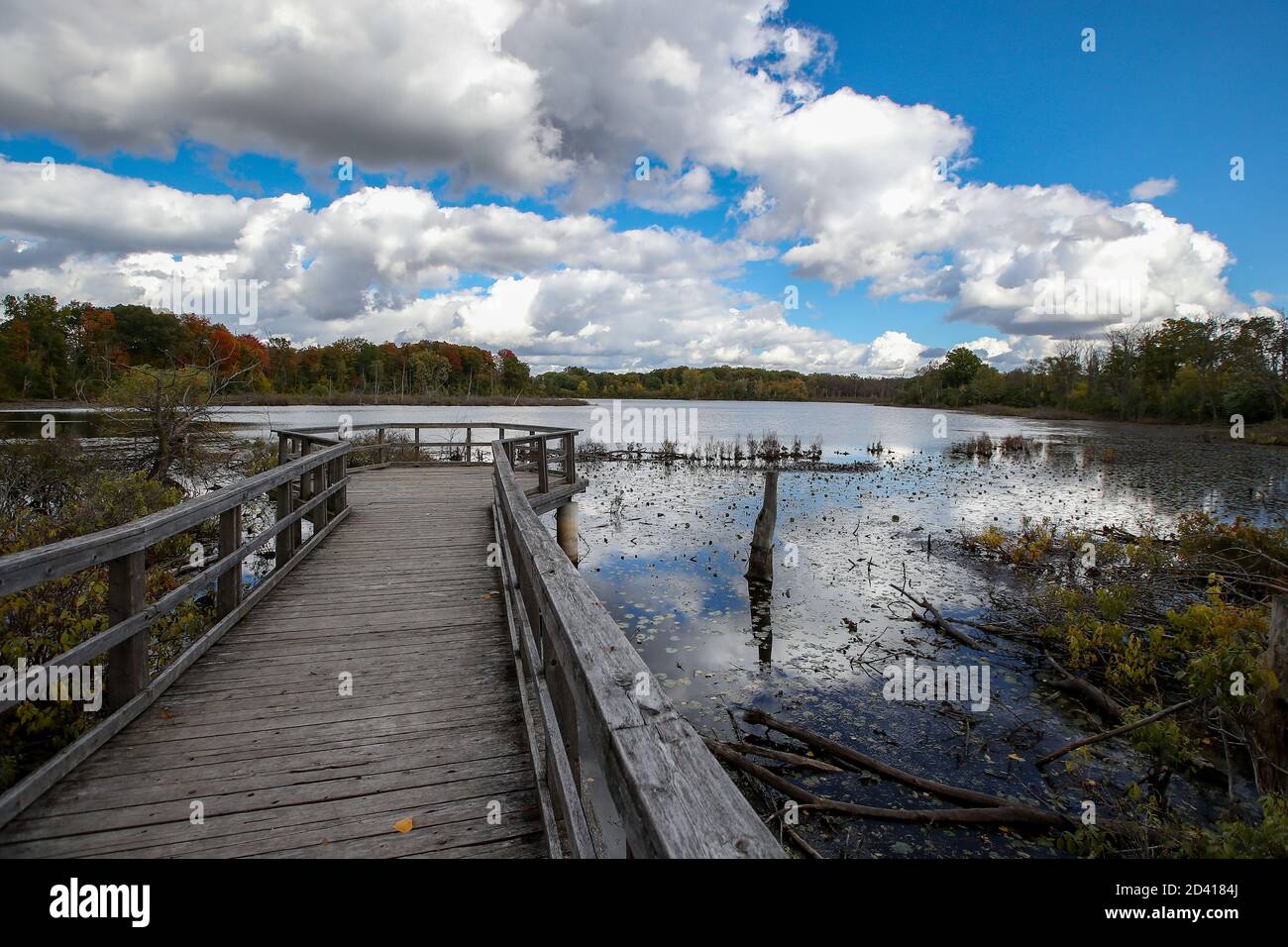 8 ottobre 2020, Londra Ontario Canada, Walker Pond of the Westminster Ponds in London Ontario Canada. Autunno 2020 Luke Durda/Alamy Foto Stock