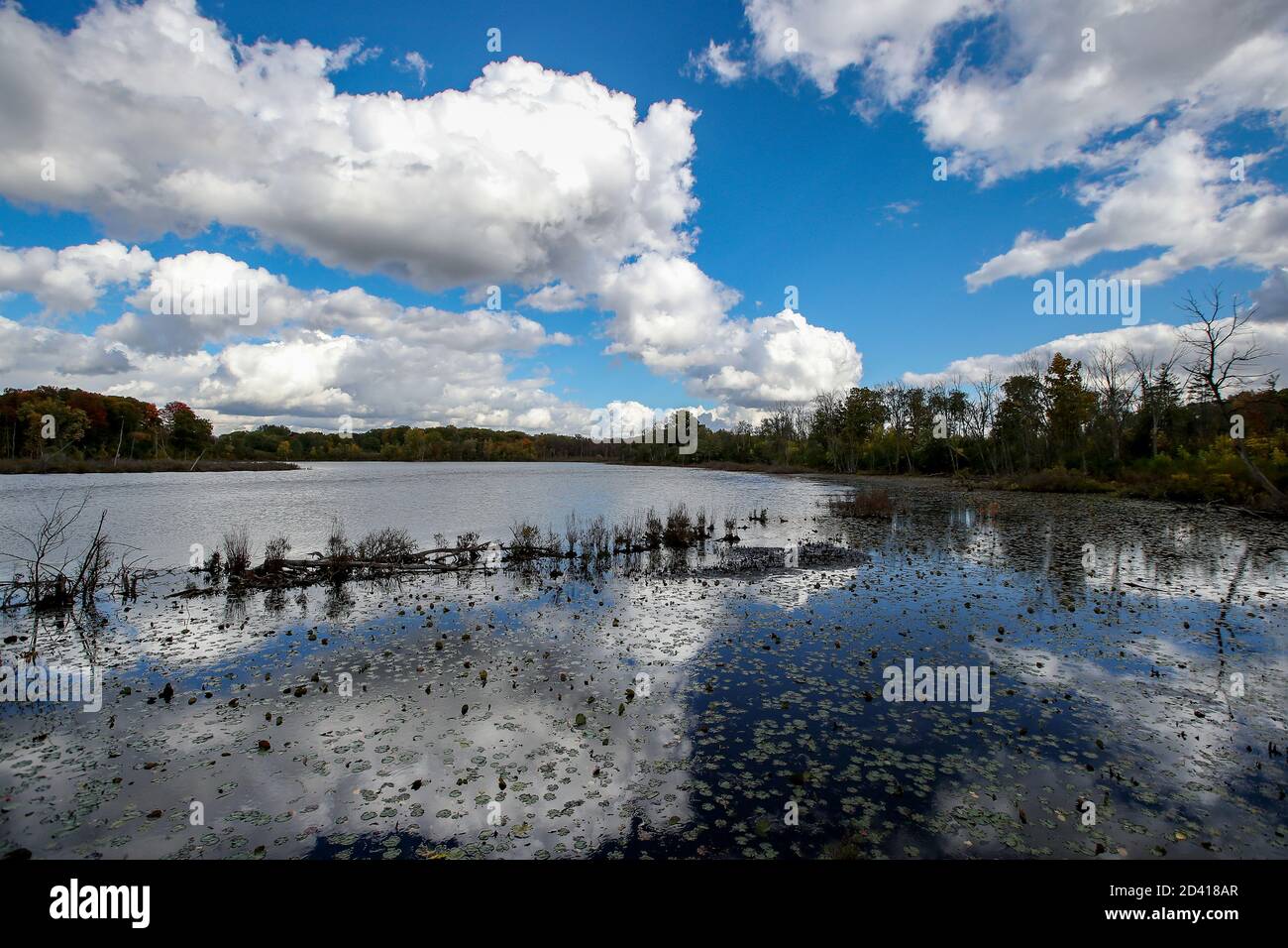 8 ottobre 2020, Londra Ontario Canada, Walker Pond of the Westminster Ponds in London Ontario Canada. Autunno 2020 Luke Durda/Alamy Foto Stock