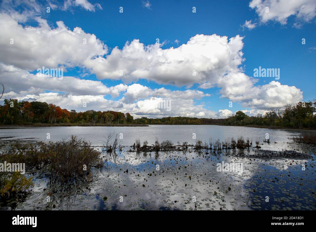8 ottobre 2020, Londra Ontario Canada, Walker Pond of the Westminster Ponds in London Ontario Canada. Autunno 2020 Luke Durda/Alamy Foto Stock