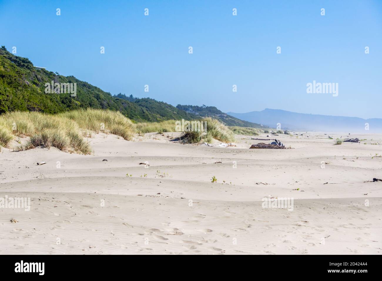 Oregon, Costa vicino a Seal Rock, guardando a sud lungo la spiaggia Foto Stock