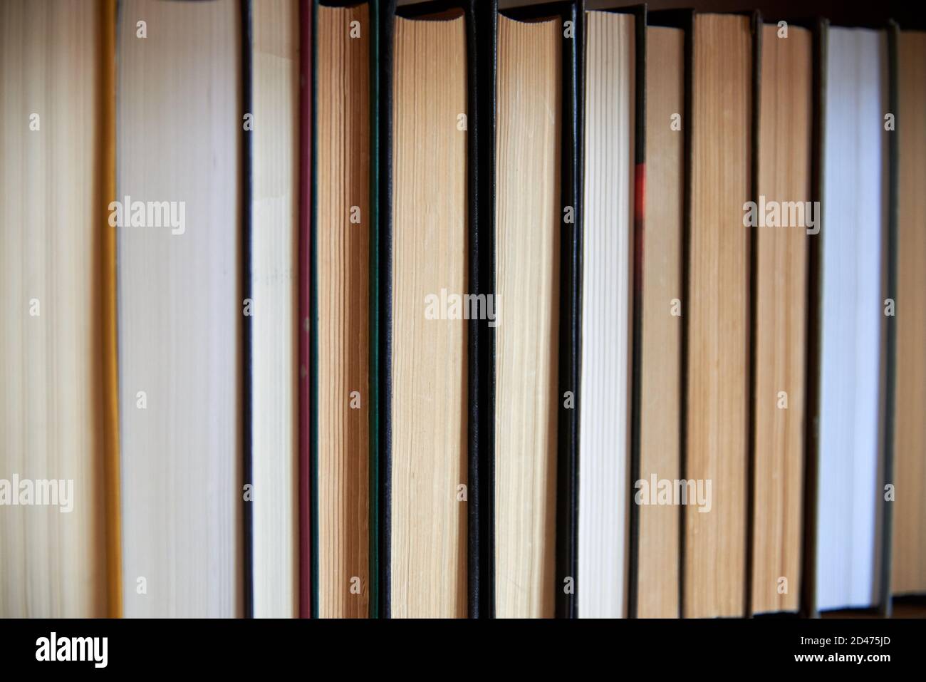 Le spine del libro sono allineate sullo scaffale, primo piano, apprendimento e concetto di istruzione. Foto Stock