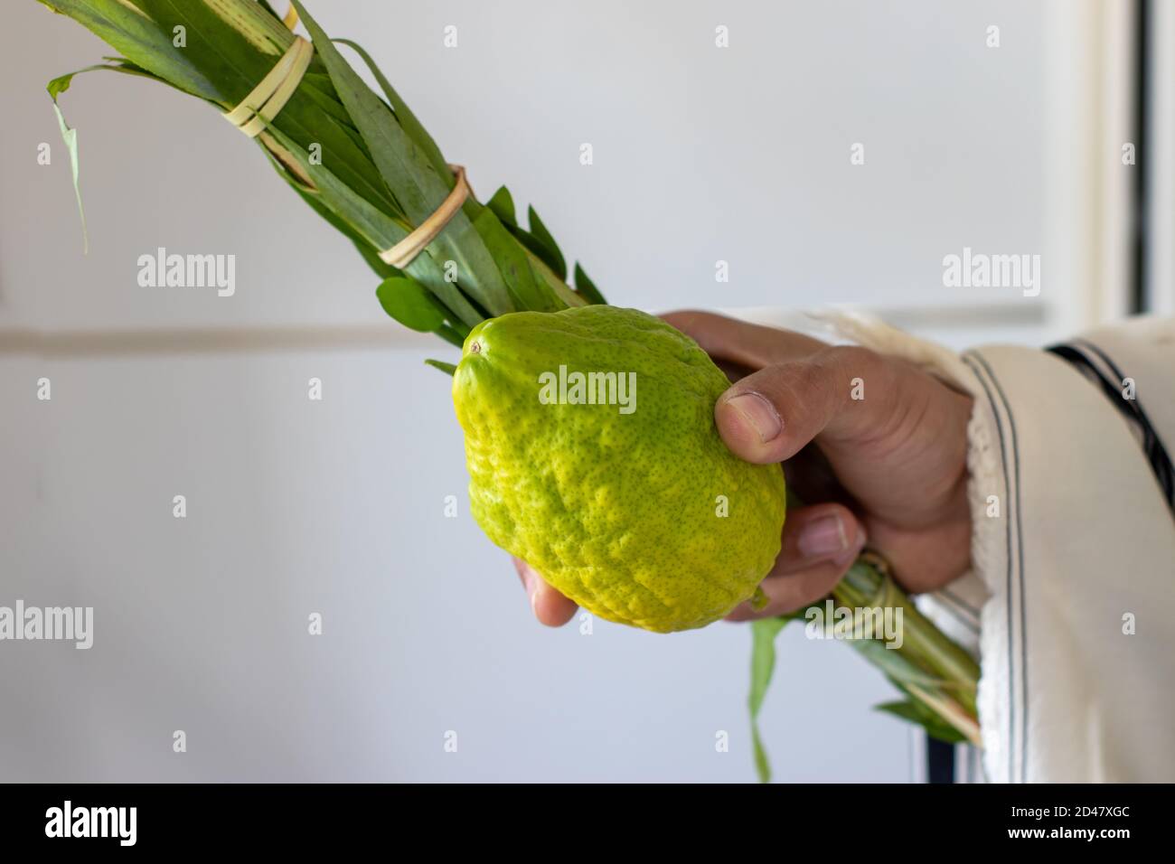Un uomo possiede simboli tradizionali (le quattro specie): Etrog, Lulav, hadas, arava. Sulla festa ebraica di Sukkot Foto Stock