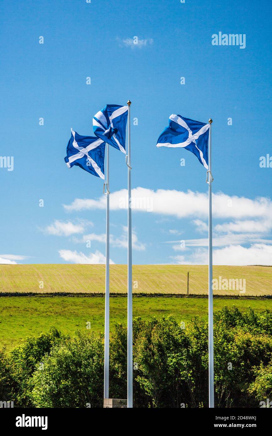 Tre bandiere scozzesi lungo la A1 al confine tra Scozia e Inghilterra vicino a Berwick-upon-Tweed. Foto Stock