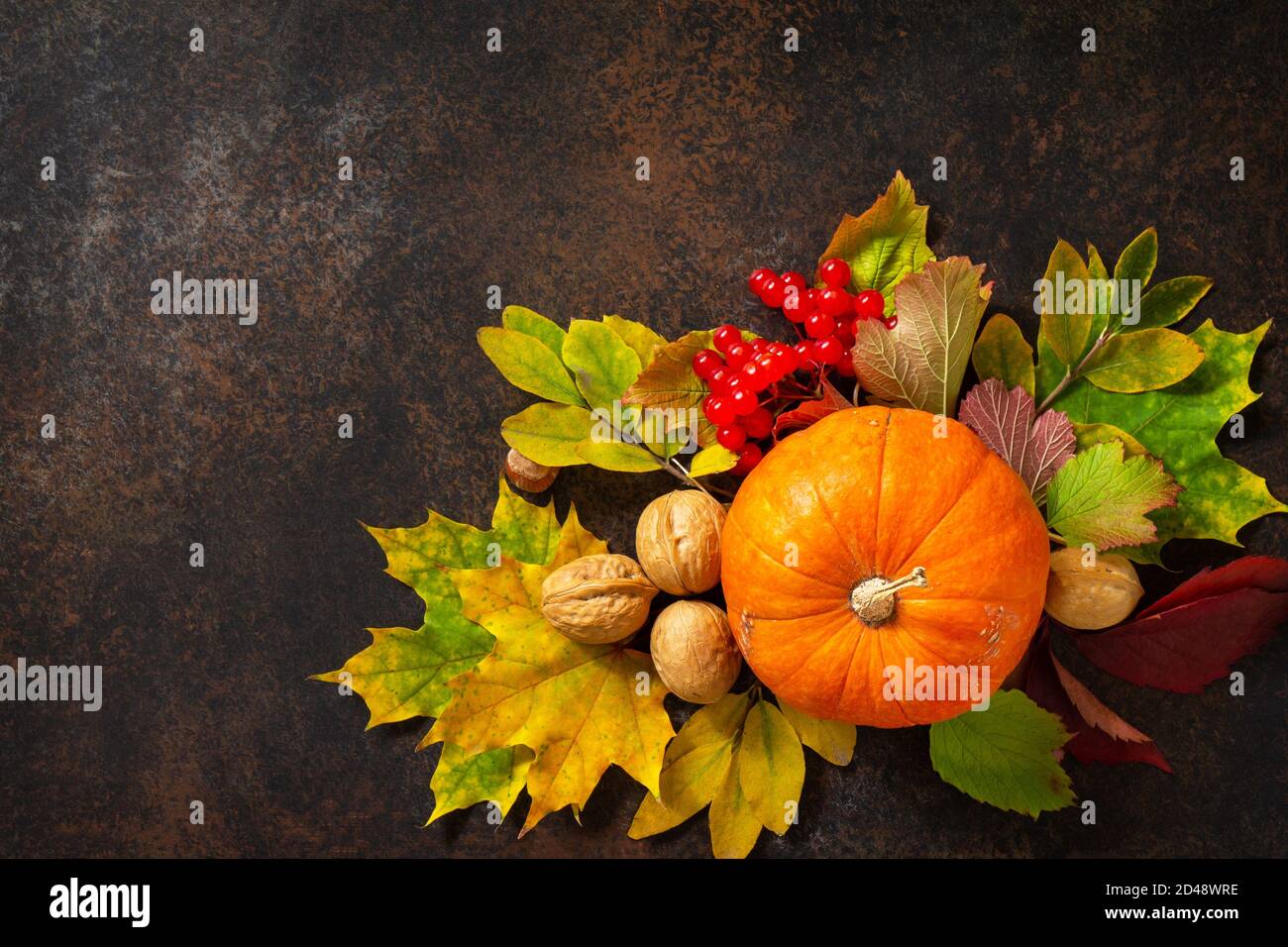 Background di concetto stagionale. Sfondo autunno con foglie d'acero, zucca, noci e bacche su sfondo ardesia. Vista dall'alto sfondo piatto Foto Stock