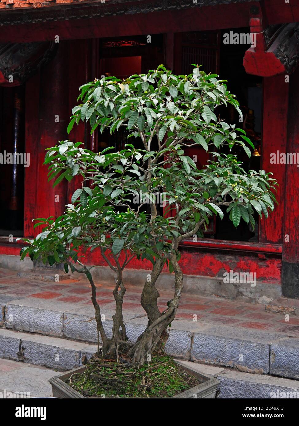 Vietnam, Hanoi, Tempio di Van Lieu, dedicato a Confusio, costruito nel 1070 Foto Stock