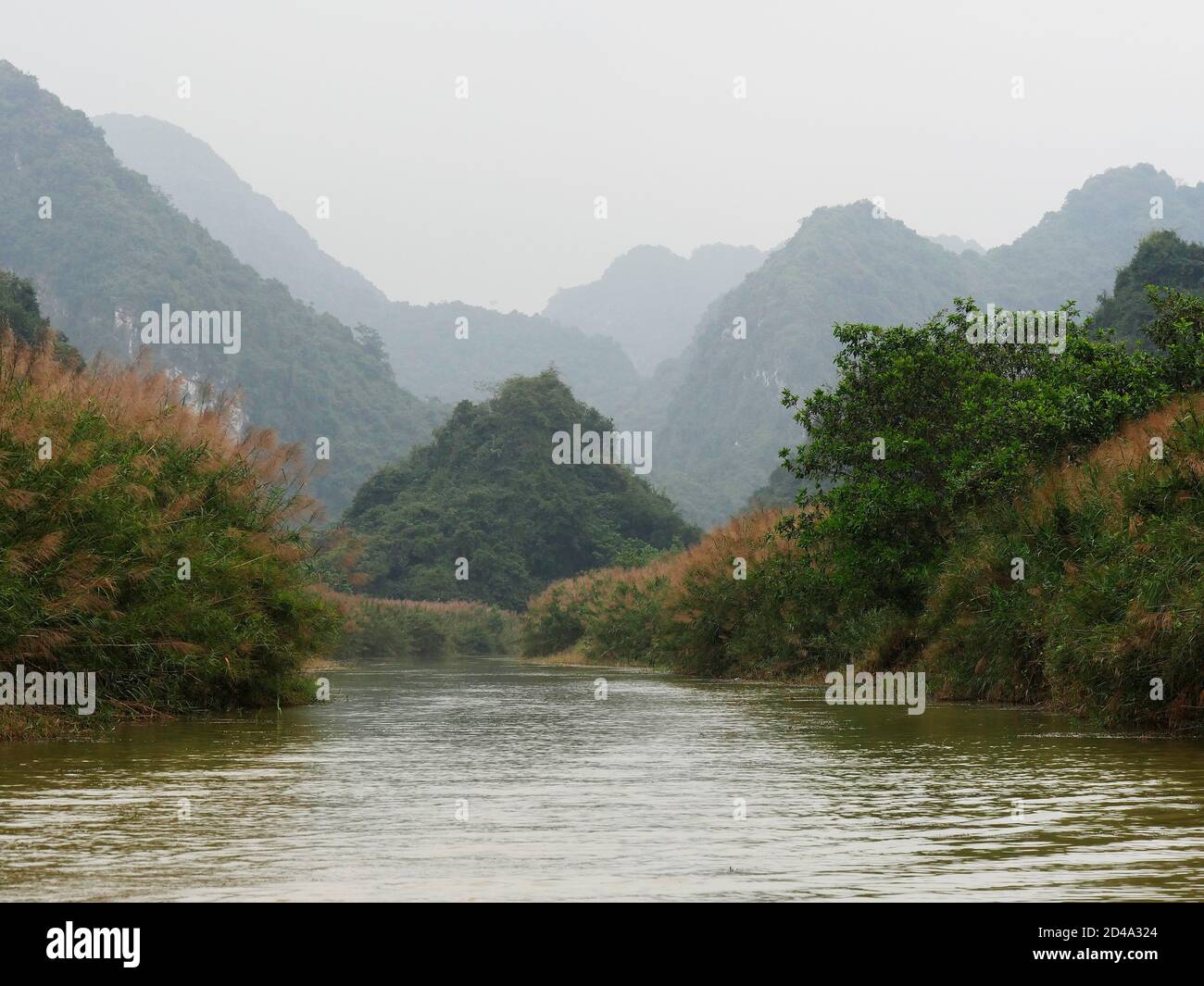 Vietnam, zona di Ninh Binh, Hoa Lu, Paesaggio Foto Stock
