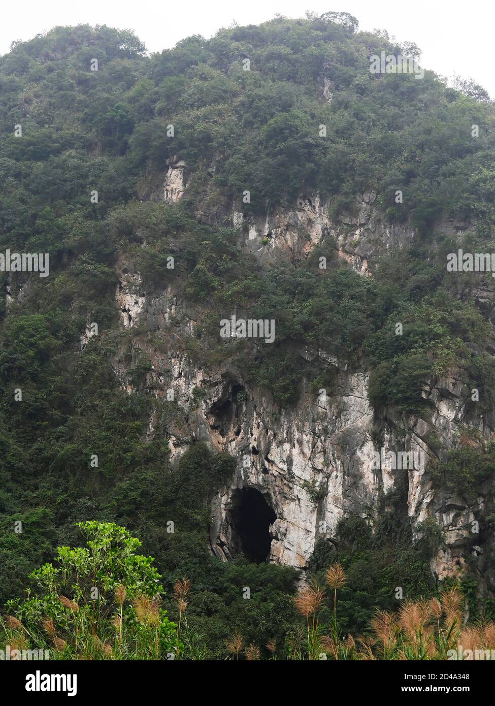 Vietnam, zona di Ninh Binh, Hoa Lu, Paesaggio Foto Stock