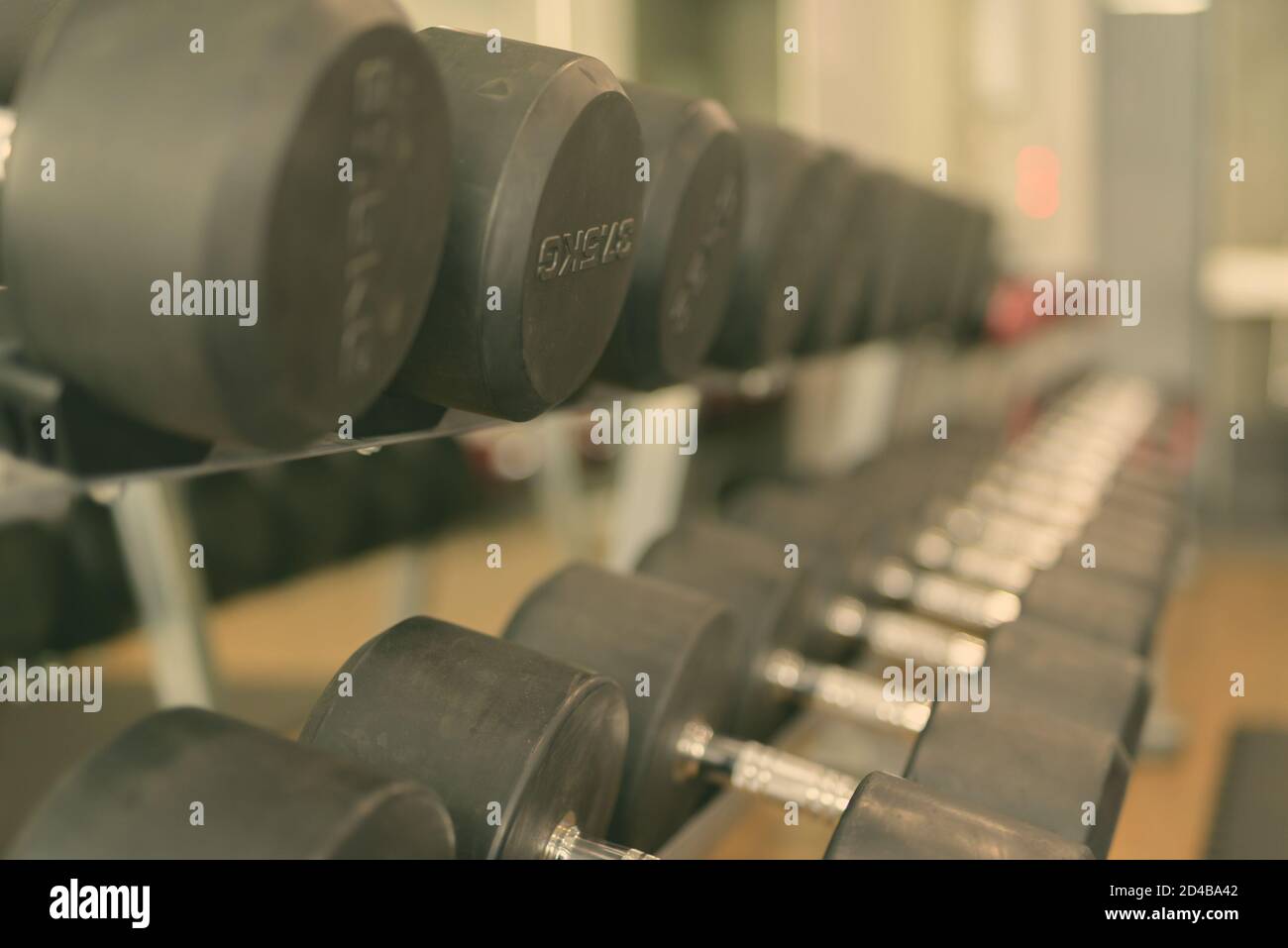 Ritratto di Dumbbells allineati alla palestra Foto Stock