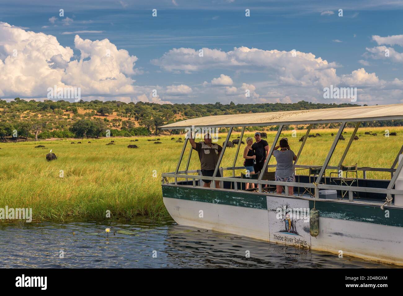 I turisti in una barca osservare gli elefanti lungo il fiume Chobe, Botswana, Africa Foto Stock